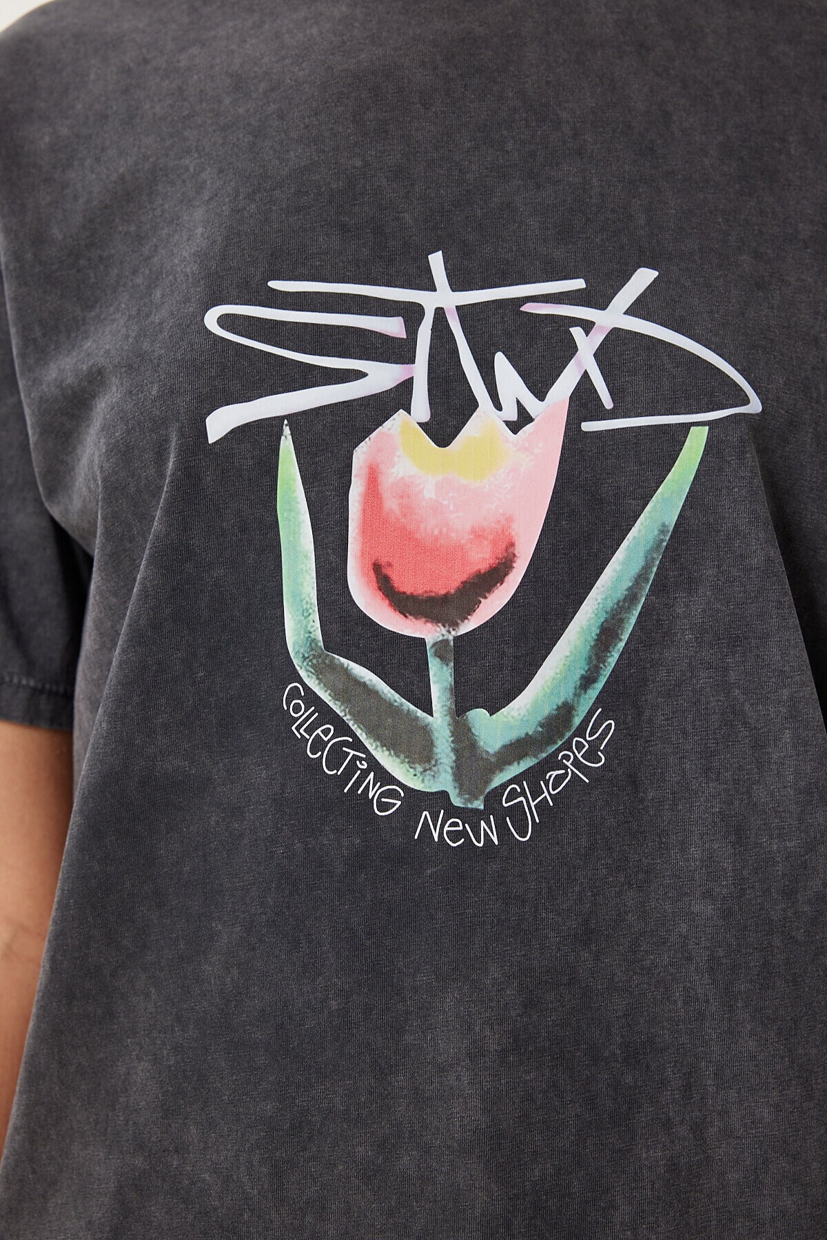 Baskılı Yıkamalı Esnek Örme T-shirt ANTRASİT LAN0034